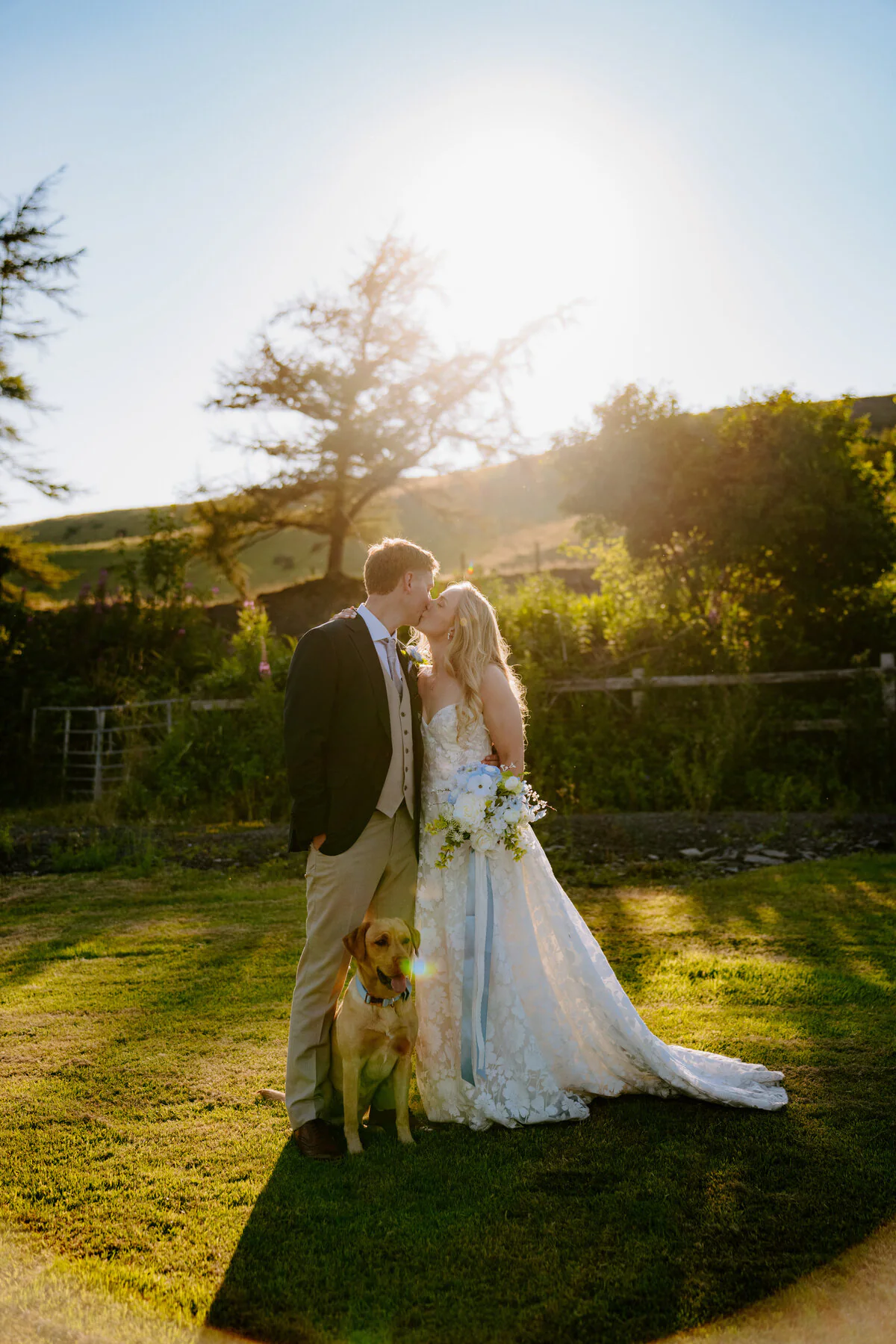 Ca109258 Bride and groom kissing at golden hour with their labrador beside them in a sunlit garden.