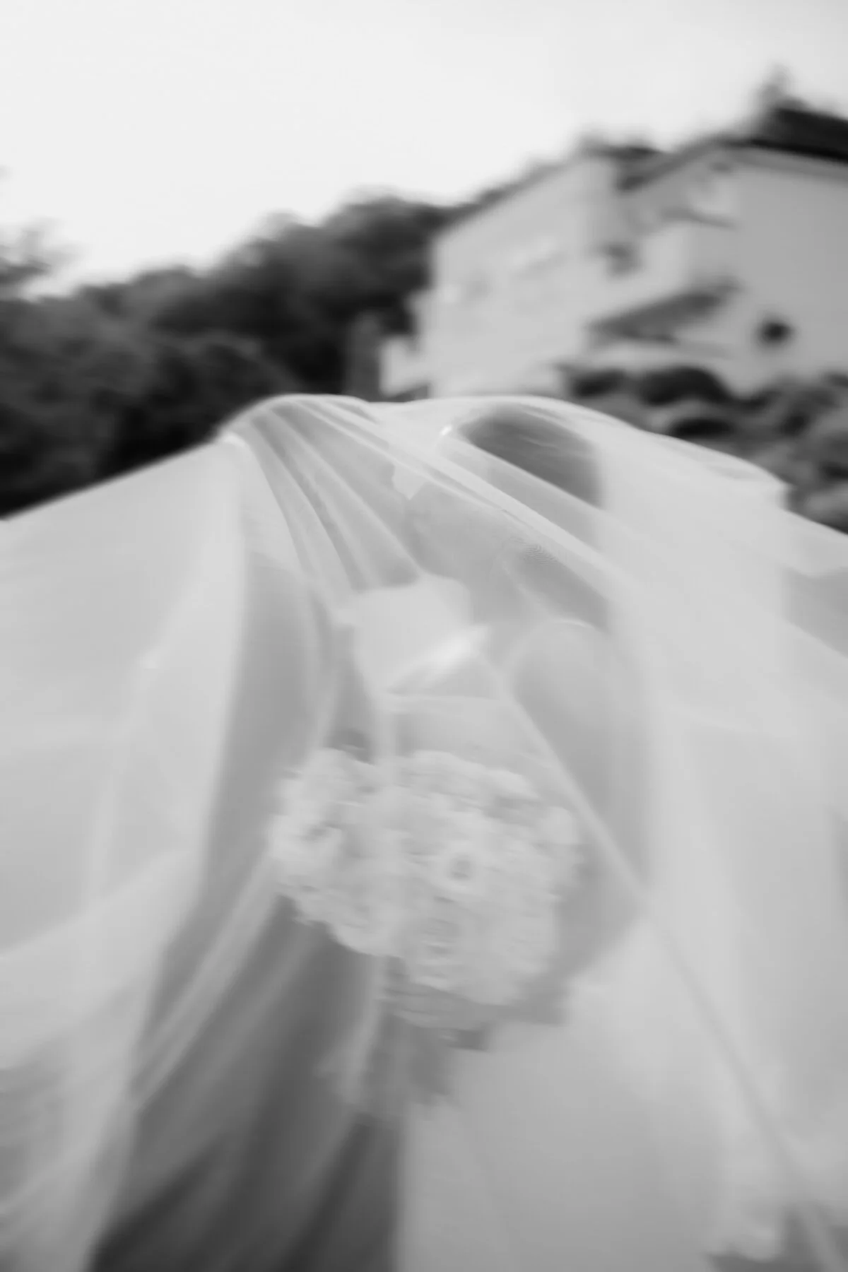 Dsc03386 Edit Artistic black and white bridal portrait beneath a flowing wedding veil.