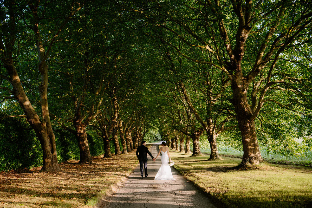 Dsc07035 Bride and groom walking hand in hand down an avenue of trees.