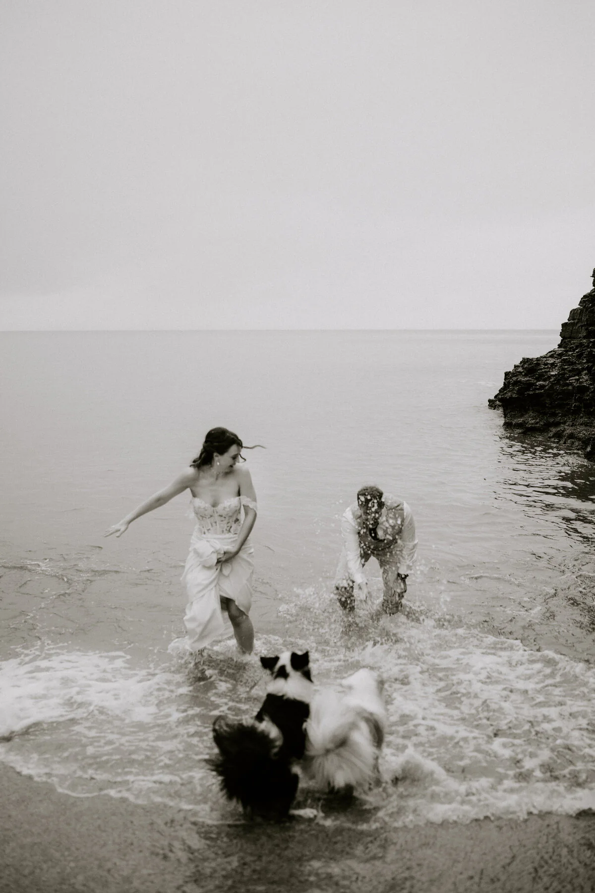 Dsc01559 Black and white photograph of a couple splashing in the sea with their border collies.