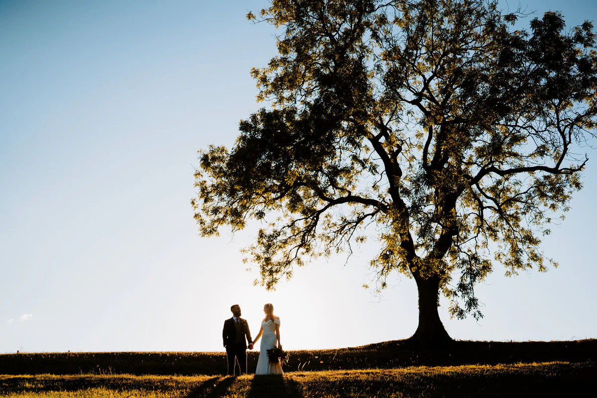 A7307786 508 11 Silhouette of a couple holding hands beneath a large tree at sunset.